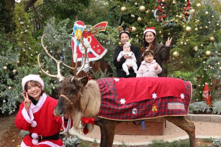 【ポートピアホテル】 本物のトナカイと出会える、特 【ポートピアホテル】 本物のトナカイと出会える、特