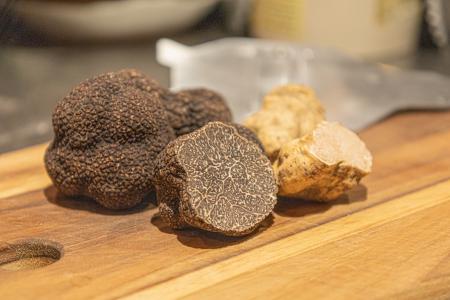 浅草の豚肉専門店の【豚とトリュフの特別コースutf-8 浅草の豚肉専門店の【豚とトリュフの特別コースutf-8