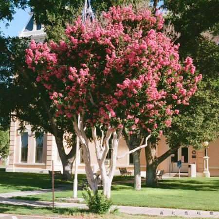シンガーソングライター 森川葵咲樹、二つの支点で物 シンガーソングライター 森川葵咲樹、二つの支点で物