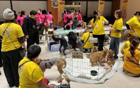 保護犬・保護猫団体へ総額160万円を寄付 保護犬・保護猫団体へ総額160万円を寄付