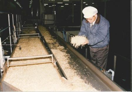 12月8日は有機農業の日! 日本初の有機栽培もやし、 12月8日は有機農業の日! 日本初の有機栽培もやし、