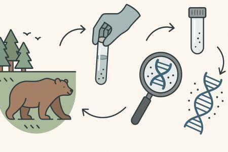 【自治体向け無料WEBセミナー】クマもわかる!水をすく 【自治体向け無料WEBセミナー】クマもわかる!水をすく