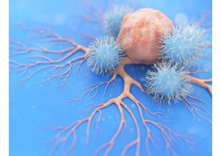 DC-BIOTECH、再生医療・創薬分野における技術開発の取 DC-BIOTECH、再生医療・創薬分野における技術開発の取