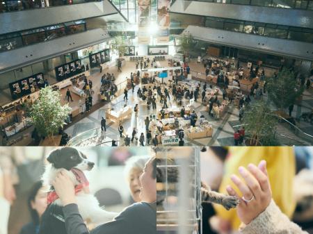 「パナソニック 保護犬猫譲渡会2025」イベント開催レ 「パナソニック 保護犬猫譲渡会2025」イベント開催レ