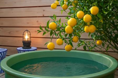 滋賀・琵琶湖のグランピング施設「AFUMI KITAKOMATSU 滋賀・琵琶湖のグランピング施設「AFUMI KITAKOMATSU