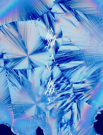 DUSTCELL、4th Album「碧い海」本日12月10日(水)リリ DUSTCELL、4th Album「碧い海」本日12月10日(水)リリ