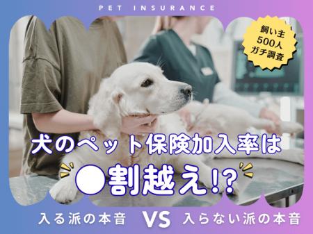 【飼い主500人に調査】犬の保険加入率は驚きの●割超え 【飼い主500人に調査】犬の保険加入率は驚きの●割超え