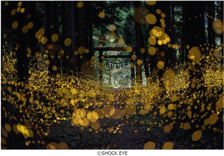 フジフイルム スクエア 企画写真展 SHOCK EYE写真展 フジフイルム スクエア 企画写真展 SHOCK EYE写真展