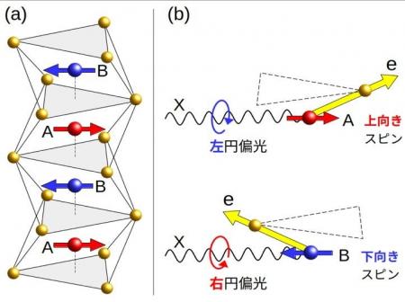 新型磁性体「交替磁性体」の磁気構造の新たな測定法を 新型磁性体「交替磁性体」の磁気構造の新たな測定法を