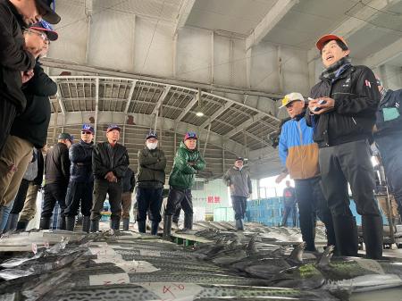 京都の冬の味覚!脂のり抜群の「特選京鰆(きょうさわ 京都の冬の味覚!脂のり抜群の「特選京鰆(きょうさわ
