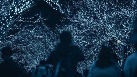 夜の世界を光で彩るイルミネーションについて大調査! 夜の世界を光で彩るイルミネーションについて大調査!