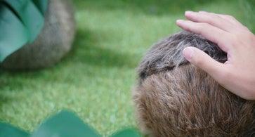 【城西国際大学】2025 アジアデジタルアート大賞展 FU 【城西国際大学】2025 アジアデジタルアート大賞展 FU