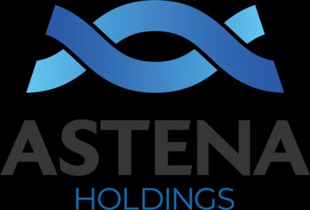 アステナホールディングス株式会社、機関投資家・アナ アステナホールディングス株式会社、機関投資家・アナ