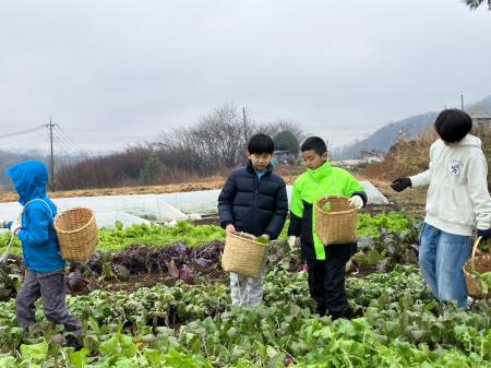 山梨ジュニアアンバサダープログラム2日目!畑から食 山梨ジュニアアンバサダープログラム2日目!畑から食