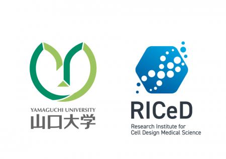 【山口大学】最新のがん免疫療法CAR-T細胞の技術改良 【山口大学】最新のがん免疫療法CAR-T細胞の技術改良