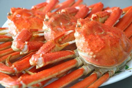 【年末年始グルメ旅】ブランド牛からフカヒレ、蟹まで 【年末年始グルメ旅】ブランド牛からフカヒレ、蟹まで