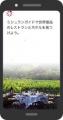ミシュランガイド、新たにワインの評価「ミシュラング ミシュランガイド、新たにワインの評価「ミシュラング