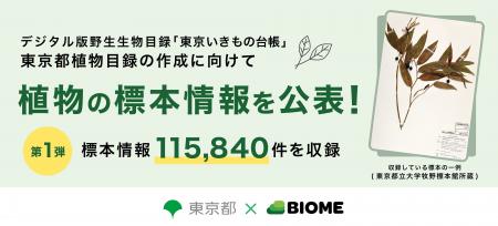 東京都 × バイオーム 東京の植物相を明らかにするた 東京都 × バイオーム 東京の植物相を明らかにするた
