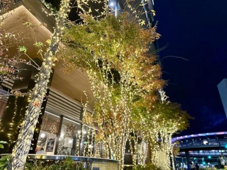 【期間限定】四日市本社を彩る、冬のイルミネーション 【期間限定】四日市本社を彩る、冬のイルミネーション