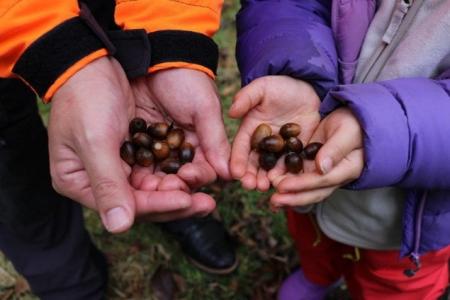 【LINEヤフー】持続可能な未来に向け、田島山業の「み 【LINEヤフー】持続可能な未来に向け、田島山業の「み