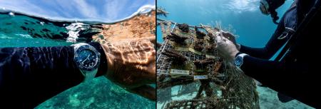 障がい者雇用により海の環境保全を実現する「里海珊瑚 障がい者雇用により海の環境保全を実現する「里海珊瑚