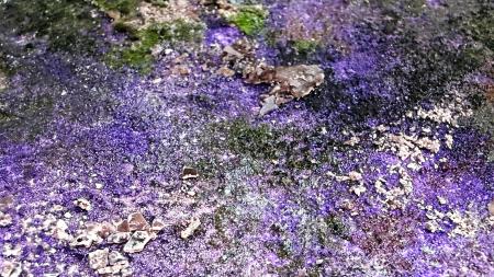 アーティスト・高屋永遠がCO2を活用した新素材を用い アーティスト・高屋永遠がCO2を活用した新素材を用い