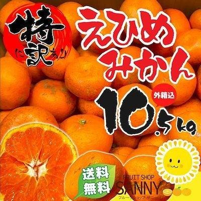 <Qoo10 「柑橘類」販売数ランキング>みかんの季節到 <Qoo10 「柑橘類」販売数ランキング>みかんの季節到