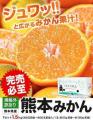 <Qoo10 「柑橘類」販売数ランキング>みかんの季節到 <Qoo10 「柑橘類」販売数ランキング>みかんの季節到