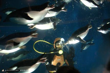 年末の大掃除!次の一年も健やかに過ごせますように 年末の大掃除!次の一年も健やかに過ごせますように