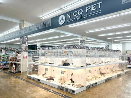 P’s-first岩槻店オープンのお知らせ P’s-first岩槻店オープンのお知らせ