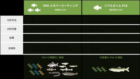ワンストップで高品質、“環境DNA分析サービス”紹介ペ ワンストップで高品質、“環境DNA分析サービス”紹介ペ
