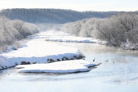 【寄付キャンペーン】「寒立の鶴居タンチョウトラスト 【寄付キャンペーン】「寒立の鶴居タンチョウトラスト