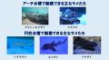 【横浜・八景島シーパラダイス】期間限定で水族館「ド 【横浜・八景島シーパラダイス】期間限定で水族館「ド