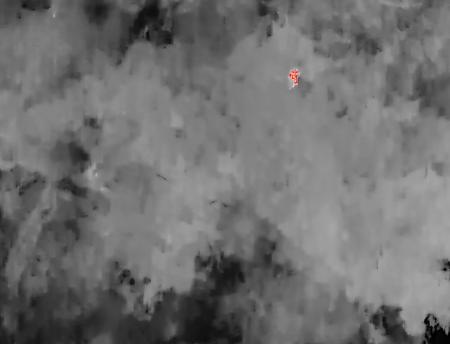 離島のイノシシ被害対策にドローン×赤外線技術を活用 離島のイノシシ被害対策にドローン×赤外線技術を活用