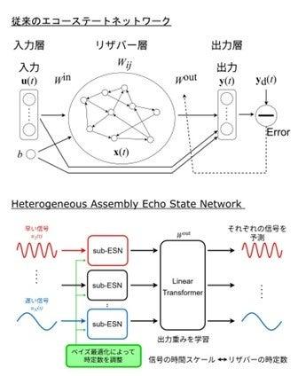 千葉工業大学・基礎生物学研究所・兵庫県立大学の研究 千葉工業大学・基礎生物学研究所・兵庫県立大学の研究