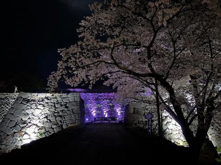 夜の丹波篠山をもっと楽しもう!丹波篠山ライトアップ 夜の丹波篠山をもっと楽しもう!丹波篠山ライトアップ