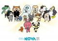 NOVAうさぎに続く、NOVAの新キャラクターは誰に?「NO NOVAうさぎに続く、NOVAの新キャラクターは誰に?「NO