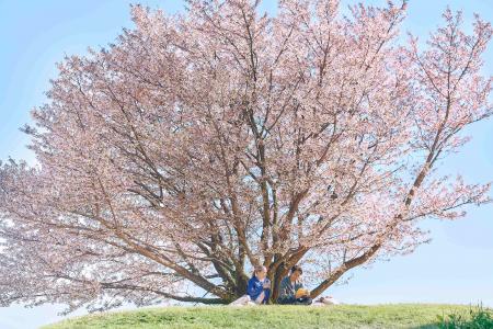 【川奈ホテル・川奈ホテルゴルフコース】普段は入るこ 【川奈ホテル・川奈ホテルゴルフコース】普段は入るこ