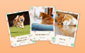 「体験」を「思い出」というカタチに。LINEでできる、 「体験」を「思い出」というカタチに。LINEでできる、