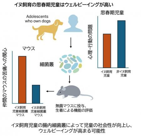 【麻布大学】イヌを飼育する児童の幸福度の上昇utf-8 【麻布大学】イヌを飼育する児童の幸福度の上昇utf-8