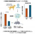 【麻布大学】イヌを飼育する児童の幸福度の上昇utf-8 【麻布大学】イヌを飼育する児童の幸福度の上昇utf-8