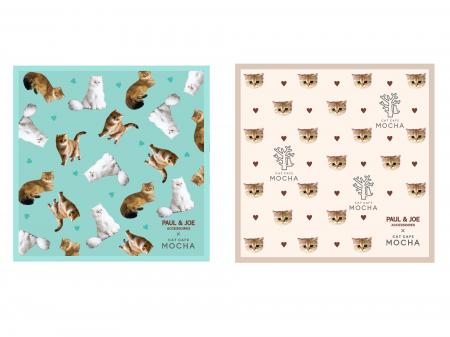 「猫の日」に合わせて待望の初コラボが決定!PAUL & J 「猫の日」に合わせて待望の初コラボが決定!PAUL & J