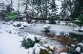 【大雪報道による「冬の北陸離れ」に一石】創業115年 【大雪報道による「冬の北陸離れ」に一石】創業115年