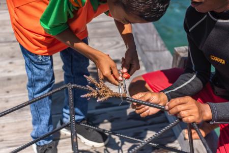 アヤナ コモド ワエチチュビーチ、コモドへの玄関口で アヤナ コモド ワエチチュビーチ、コモドへの玄関口で