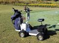 100台のフェアウェイ乗入れ一人乗りカート「G-CAutf-8 100台のフェアウェイ乗入れ一人乗りカート「G-CAutf-8