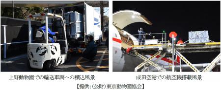 恩賜上野動物園から中国・四川省成都へシャオシutf-8 恩賜上野動物園から中国・四川省成都へシャオシutf-8