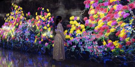 「Galaxy & チームラボ:永遠の今の中で連続する生と 「Galaxy & チームラボ:永遠の今の中で連続する生と