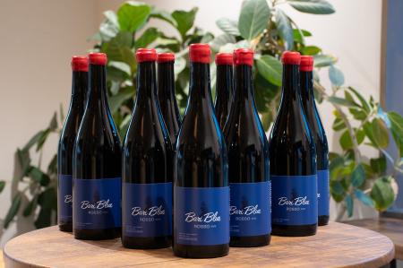 「里山スタジアム産ワイン」ついに完成。思いの濃縮さ 「里山スタジアム産ワイン」ついに完成。思いの濃縮さ