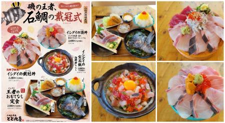 【漁港の駅TOTOCO小田原・とと丸食堂にて】磯のutf-8 【漁港の駅TOTOCO小田原・とと丸食堂にて】磯のutf-8