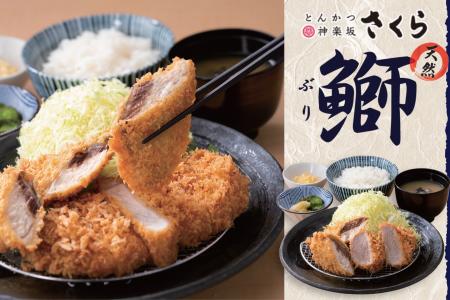 【とんかつ神楽坂さくら】天然ぶりを味わう、春utf-8 【とんかつ神楽坂さくら】天然ぶりを味わう、春utf-8